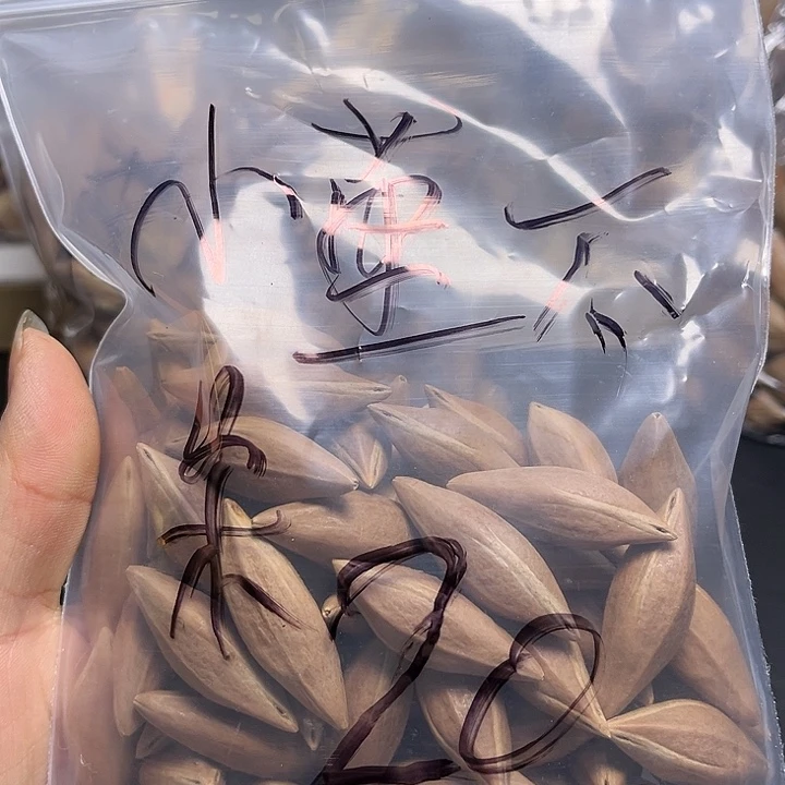 小***呆手串/手链橄榄核1111