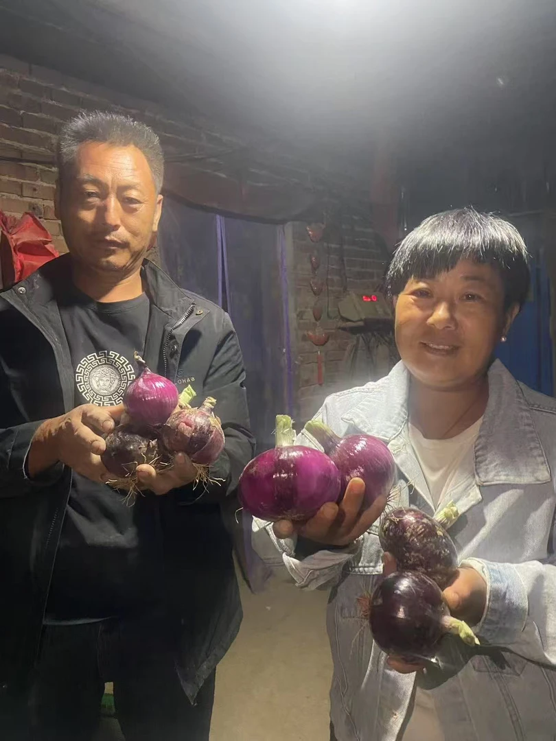 朵儿娘家哥新鲜现挖洋葱5斤装