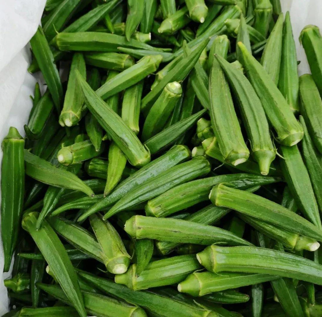 农家自种时令当季新嫩秋葵3/5斤