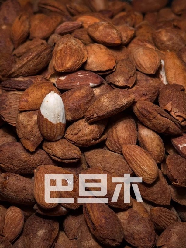 手剥巴达木坚果大粒香酥休闲零食