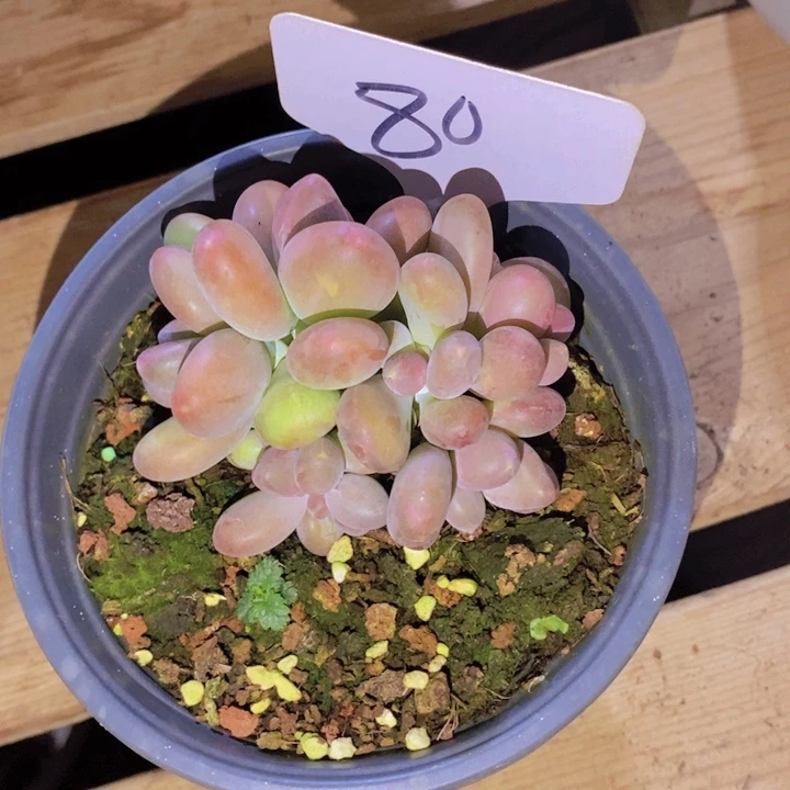 这么久不回来也没什么