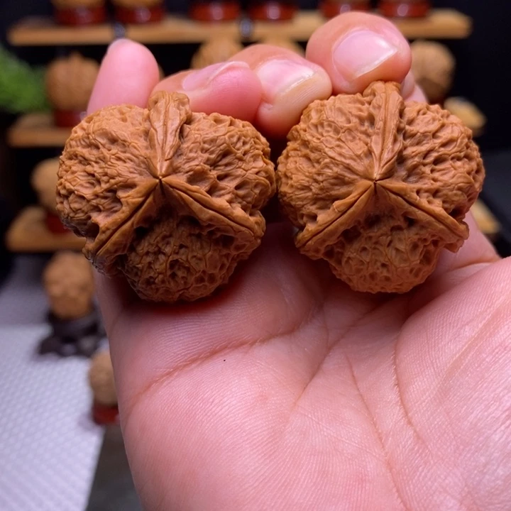 核桃云铁天狼三棱41号