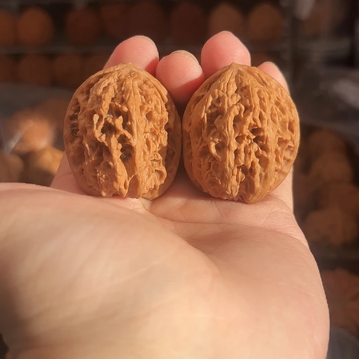 1文玩核桃蓟县粗筋虎37-523