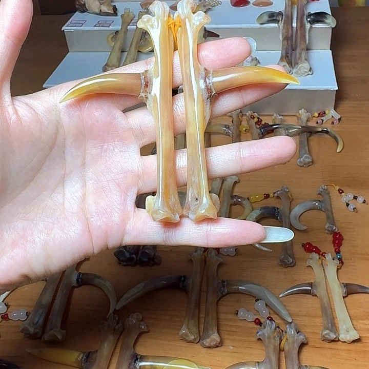 朕***鸡骨（鸡脚）手串/手链鸡爪骨一对