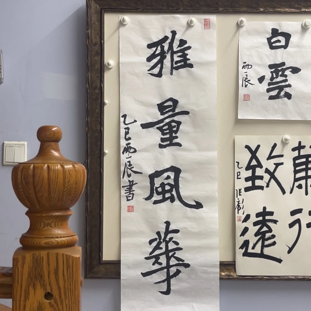 书法党震 雅量风华