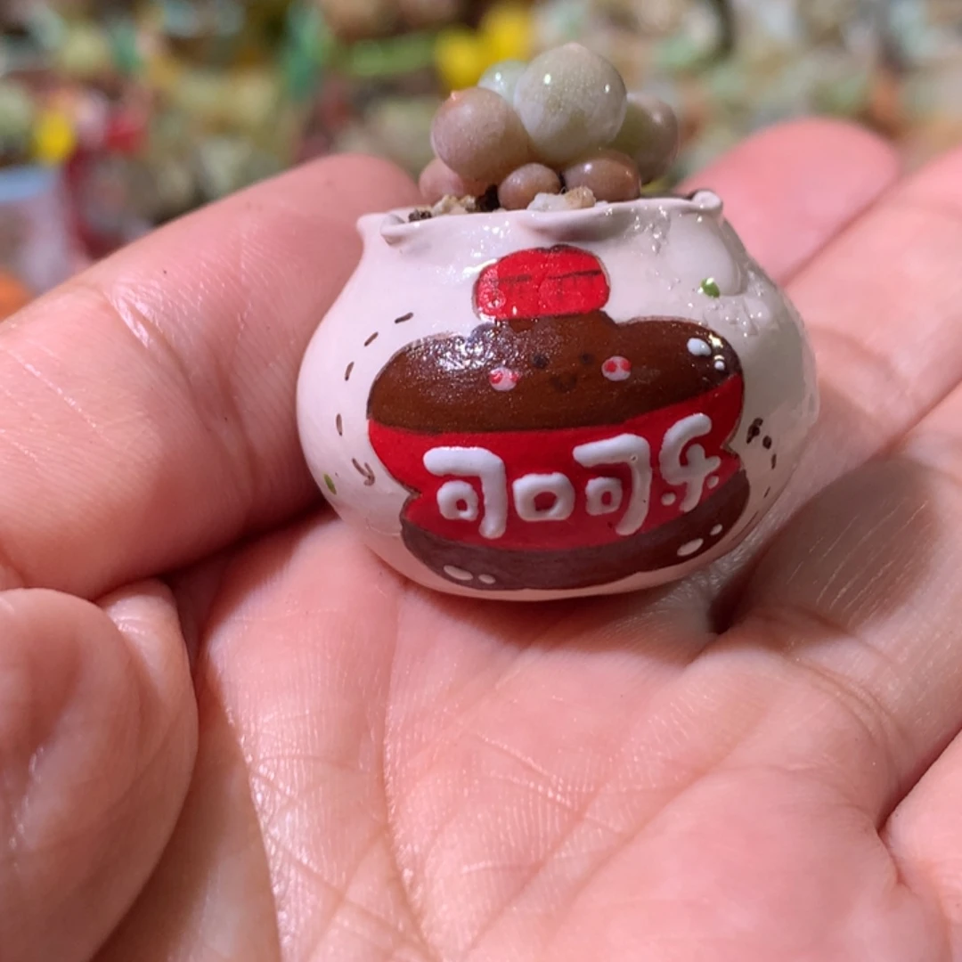 盆内口2      不带盆