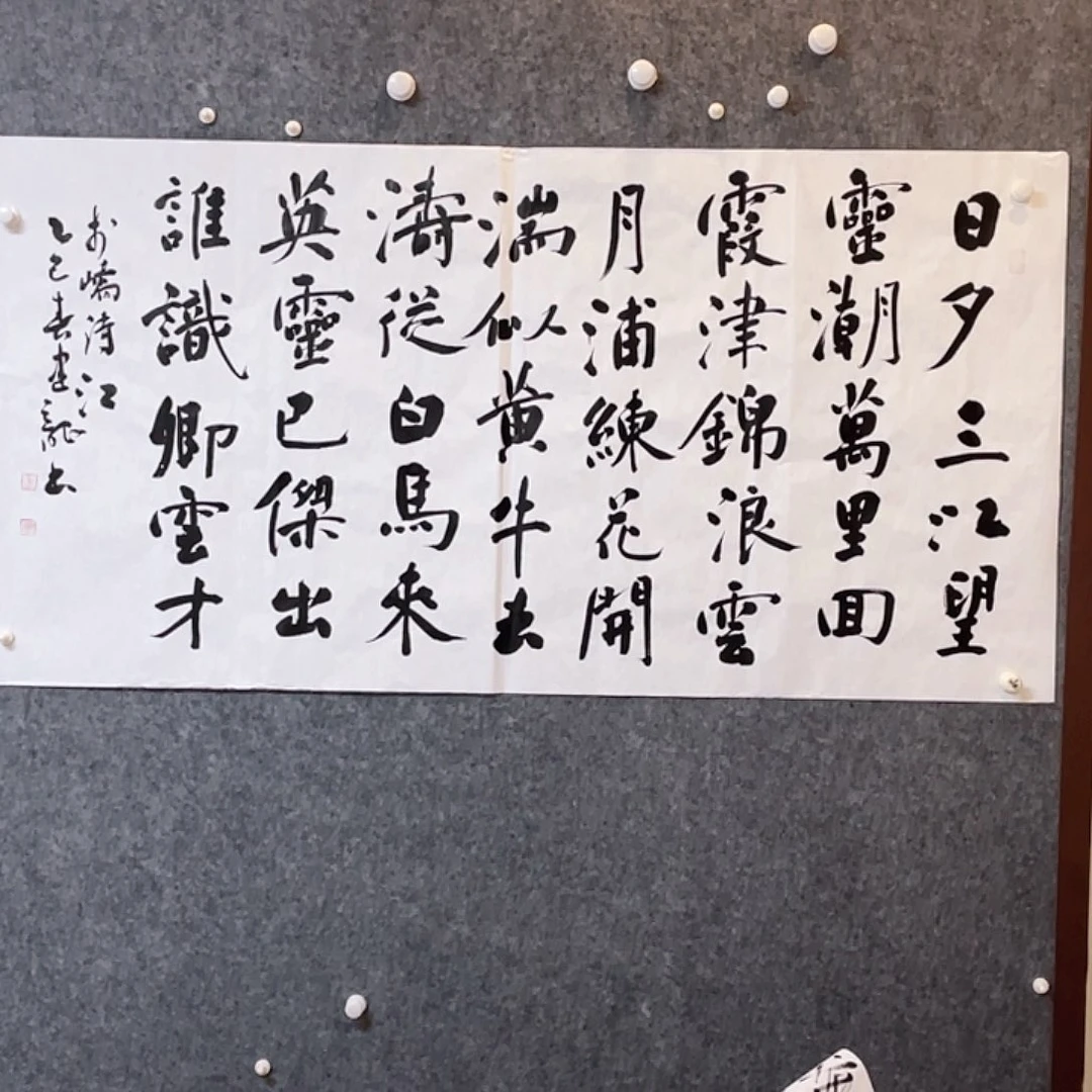 书法中书协会员杨建龙138×70