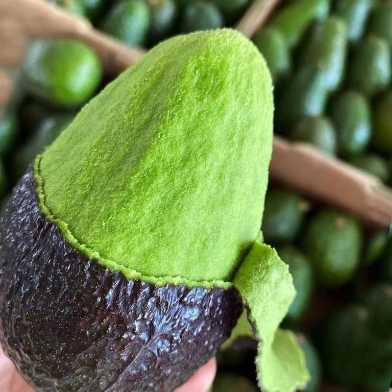 【即食牛油果CZ10】哈斯牛油果新鲜水果宝宝孕妈辅食