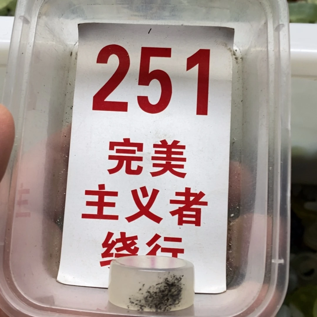 蛇纹石玉挂坠未镶嵌