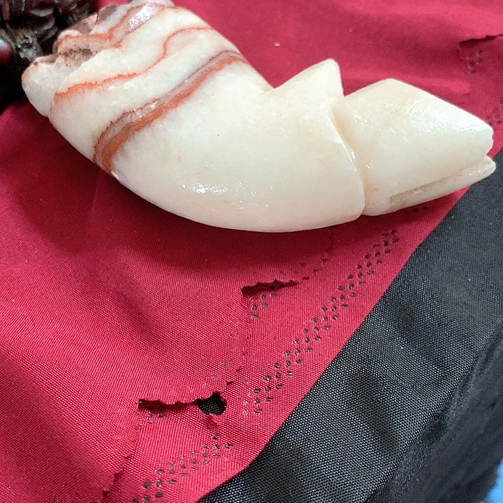 玉我的小可爱小可爱们要开心