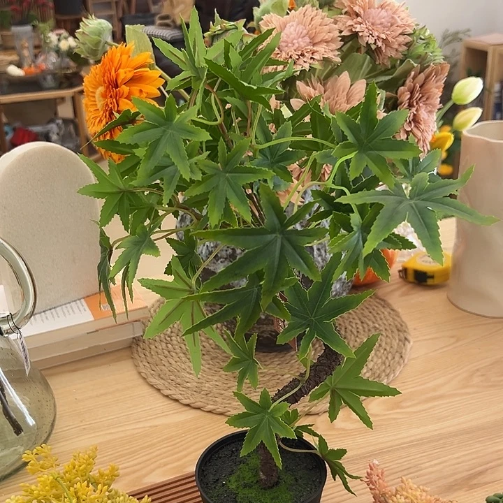 一口价F款绿植盆栽