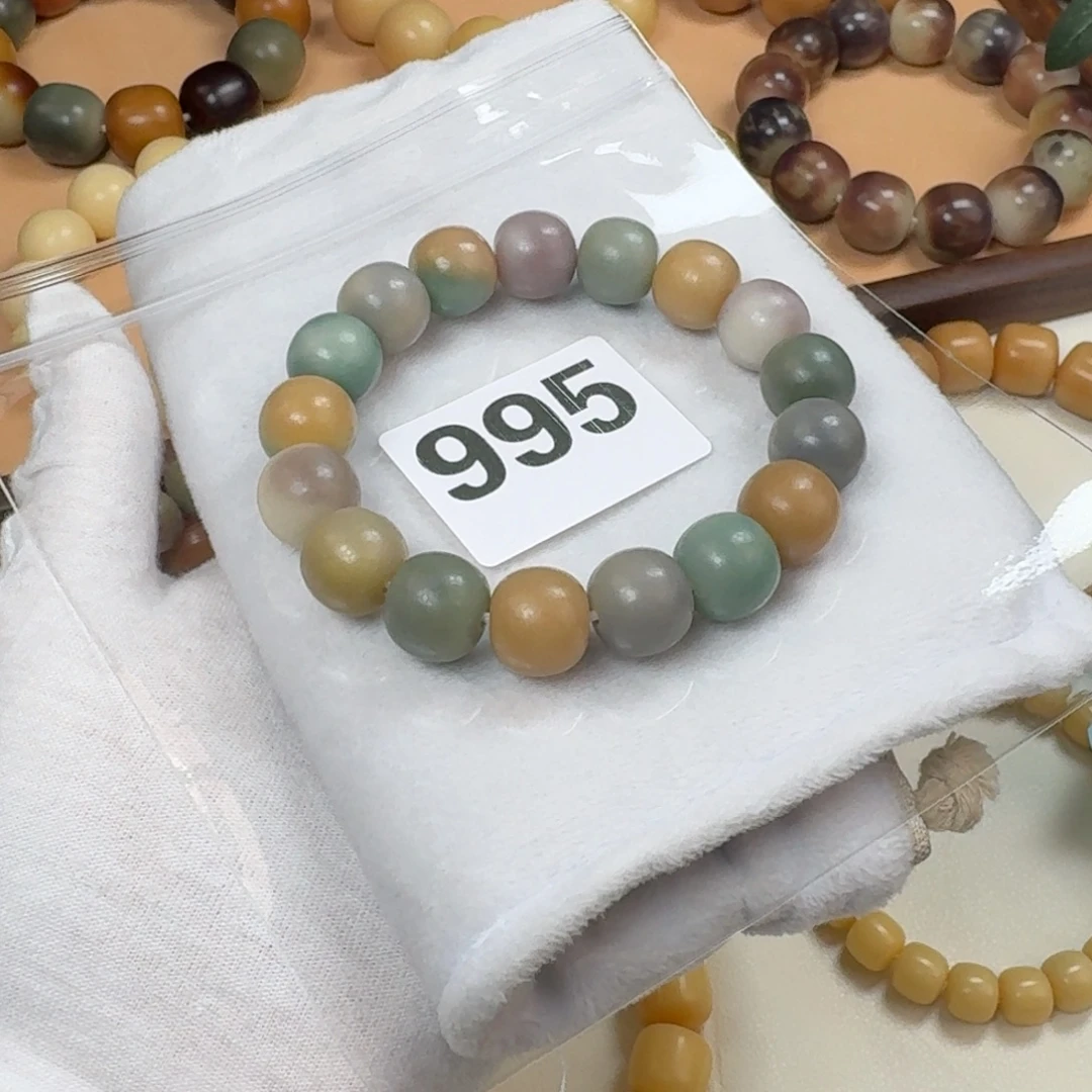 吊坠菩提根/象牙果14干磨微瑕