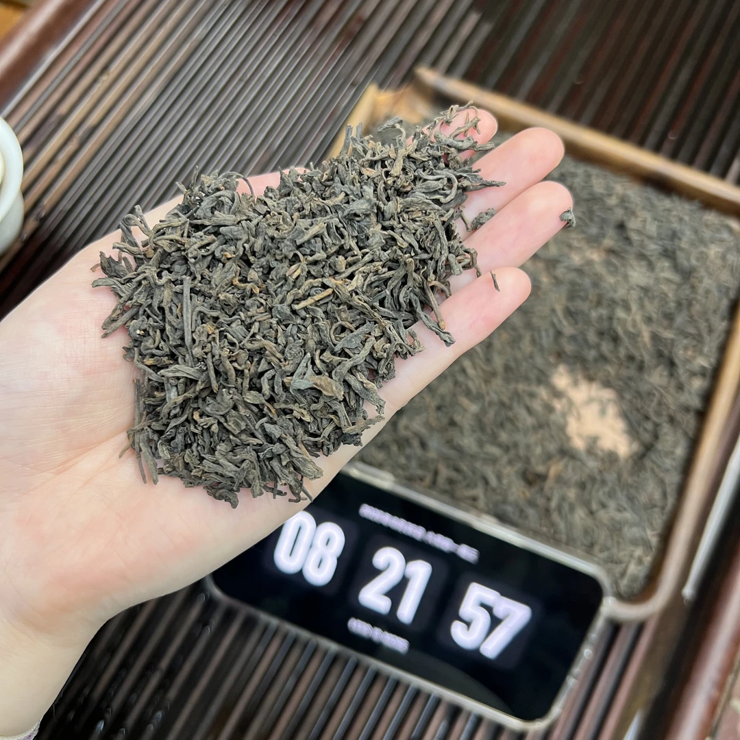 枣甜香六堡茶 小鹿收茶 广西黑茶 六堡茶 6月25