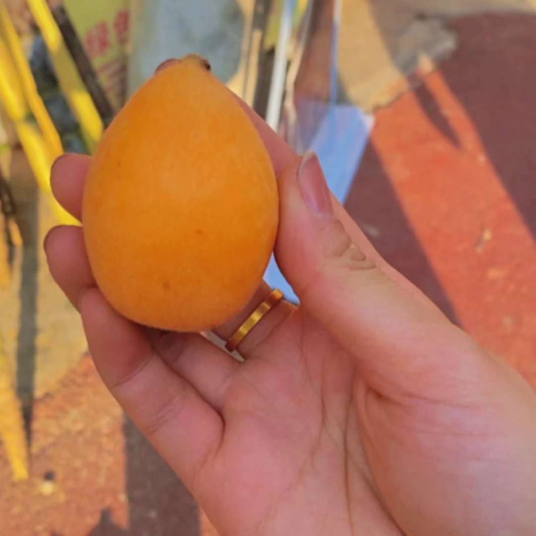 大橙柿通化店云南枇杷一盒八枚230克