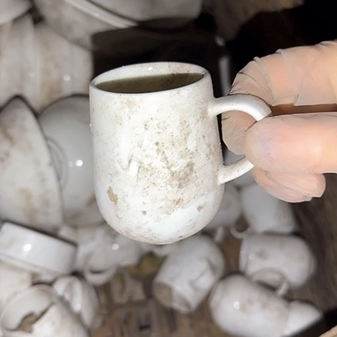 瓷片国营厂库存微瑕