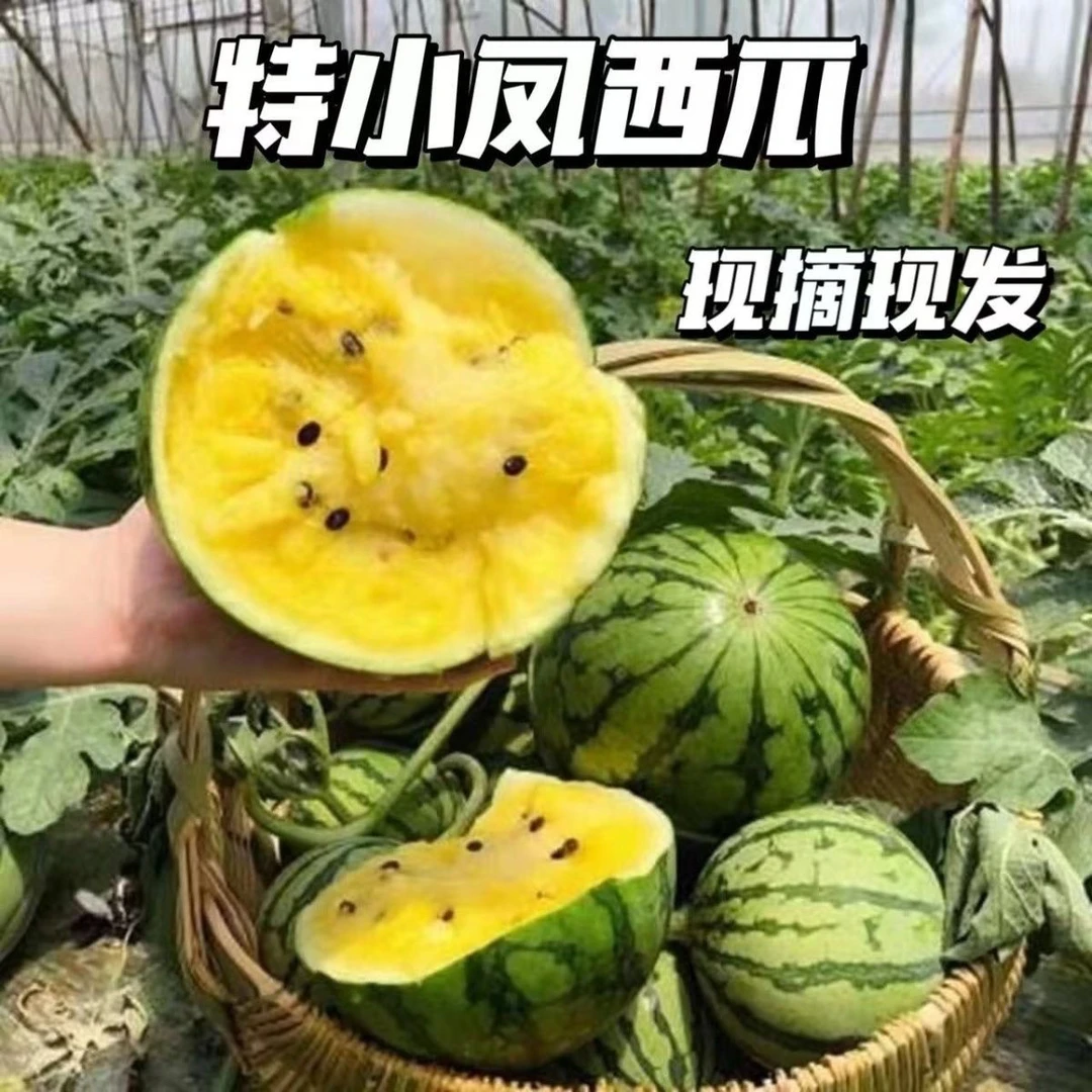 特小凤黄心西瓜薄皮手剥黄瓤新鲜水果冰淇淋甜瓜当季应季