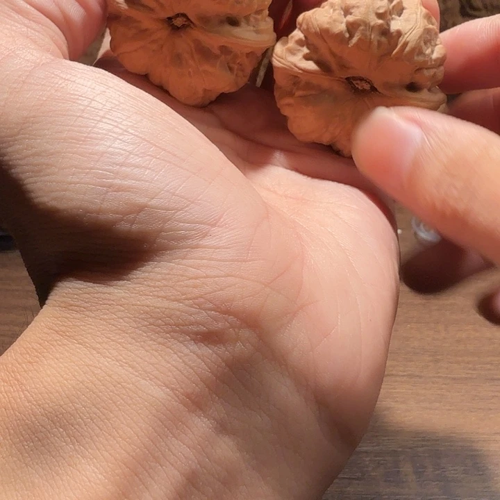 向***葵核桃蛤蟆的眼睛是真的好看