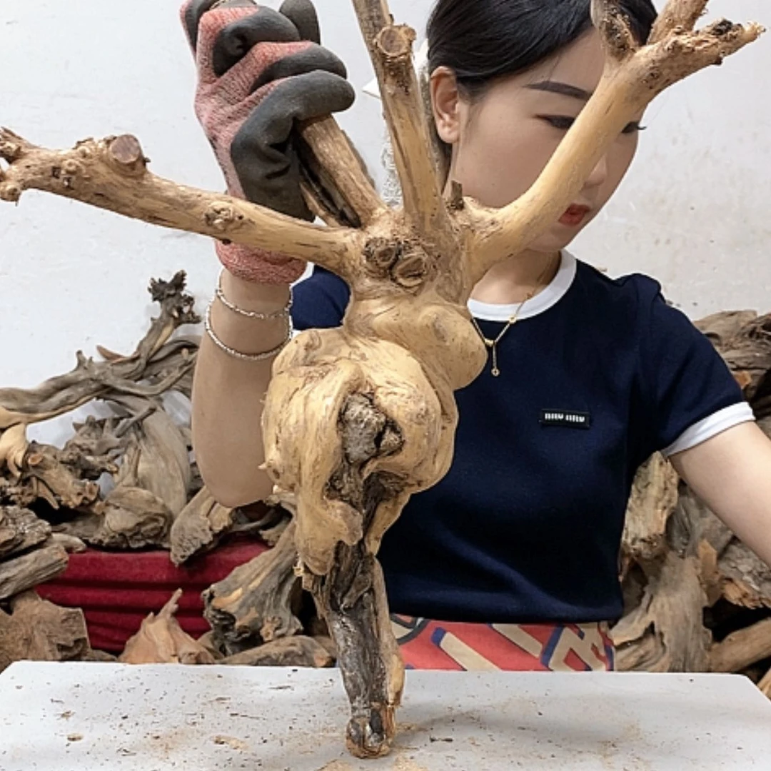 【闪购商品】柏木用****8我们都是好孩子啊