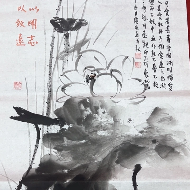 横款新人奖的颁奖仪式上获得