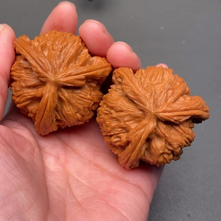 孤***者木质类核桃核桃核桃