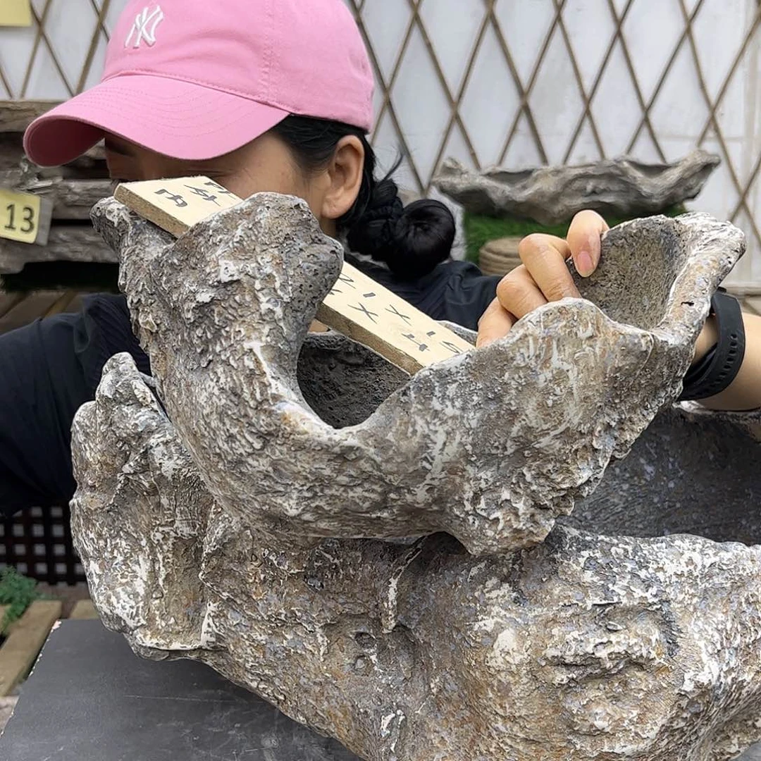 盆景盆盆景盆P1-010