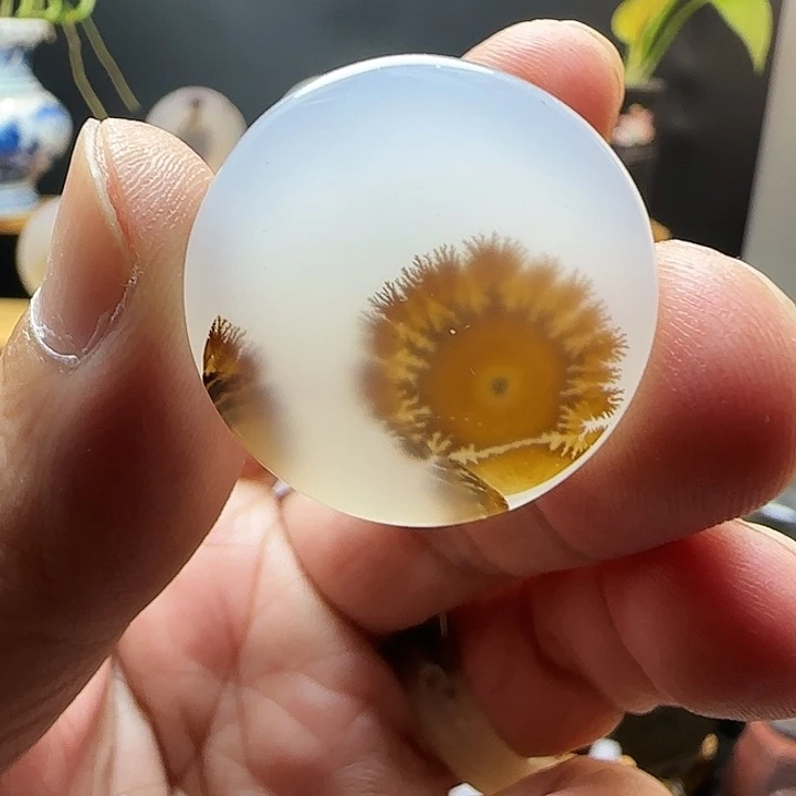 未镶嵌吊坠(不含链)玛瑙/玉髓