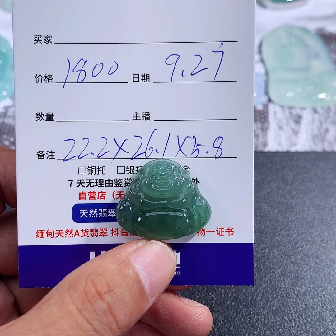 【闪购商品】颈饰未镶嵌翡翠