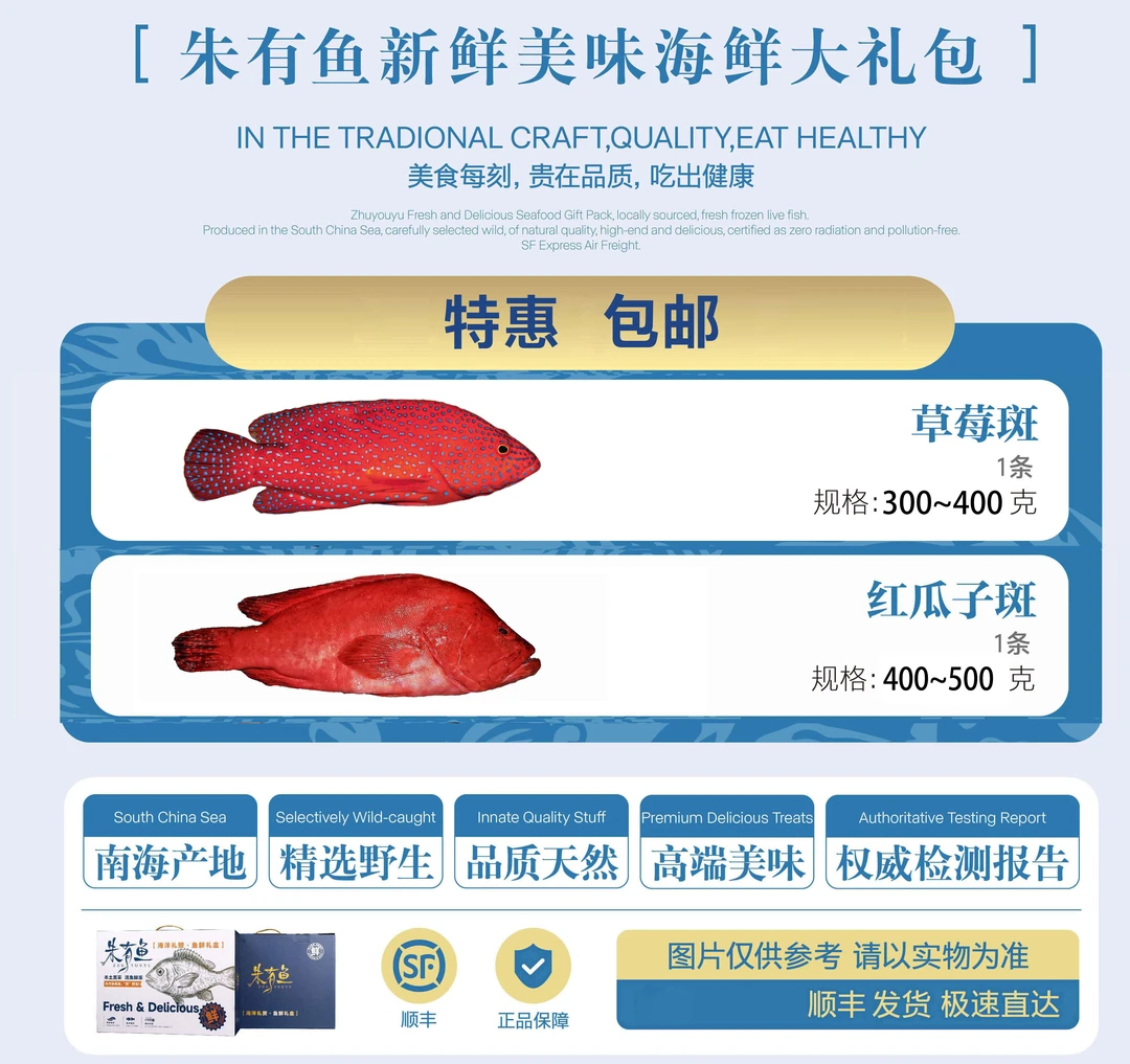 【朱有鱼】南海野生海鲜草莓斑加红瓜子清蒸红烧海鱼适合宝宝孕妈妈