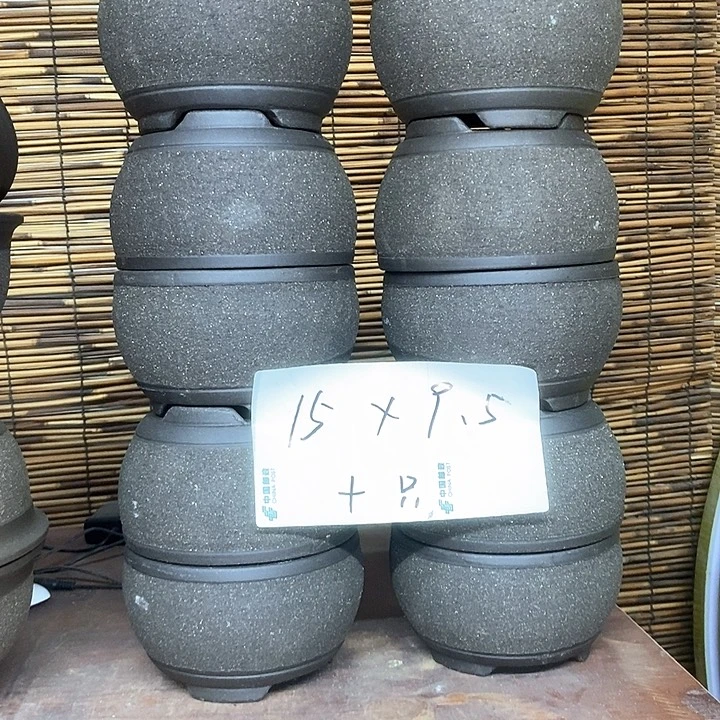 花盆紫砂我在外面