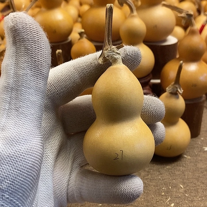 文玩葫芦 完美主义者 慎拍27