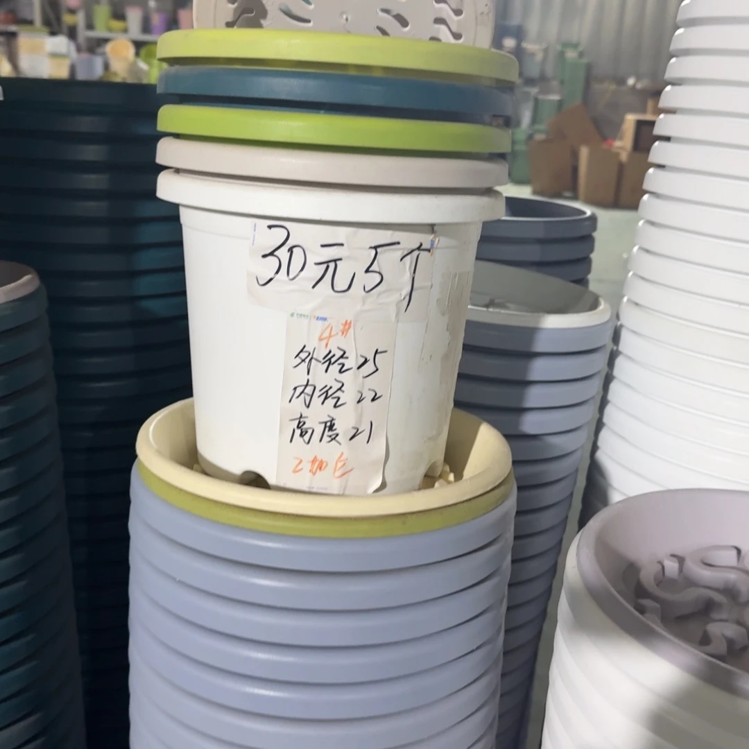 四季4#口径25无拖果绿8个