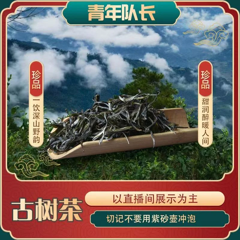 九.十二 2025年困鹿山细叶 散茶   1kg