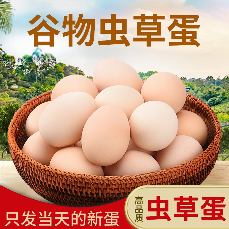 顺丰发货农家【虫草蛋】新鲜土鸡蛋营养丰富适合学生食用