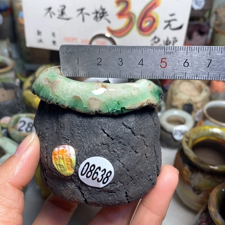 元旦活动花盆，不退不换的，原价76