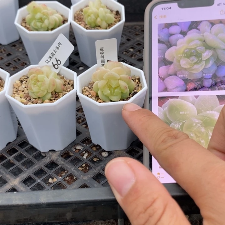 标67现金财富一个