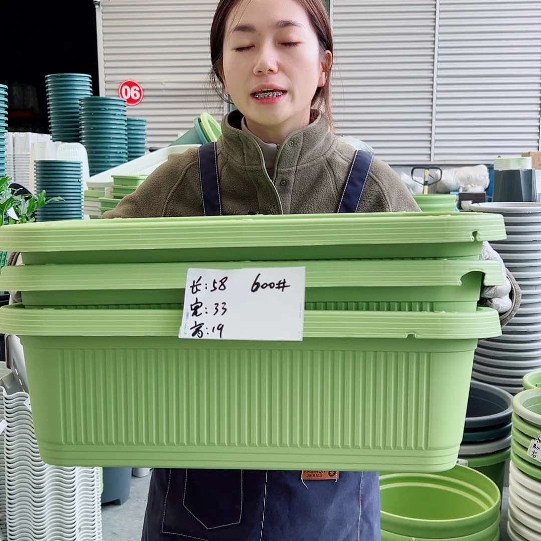 瑕疵菜盆600#果绿3个无托