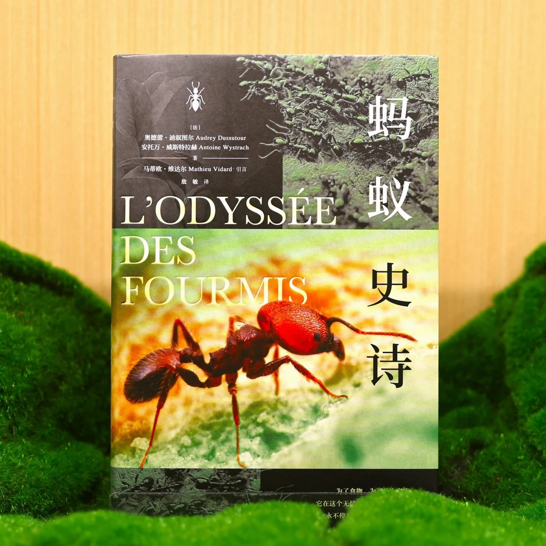 蚂蚁史诗/9787577304786/一部蚂蚁传奇自然科学著作