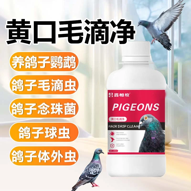 【黄口毛滴净】鸽子毛滴虫鹦鹉咽喉白点念珠菌绿便脱信鸽賽鸽呼吸病