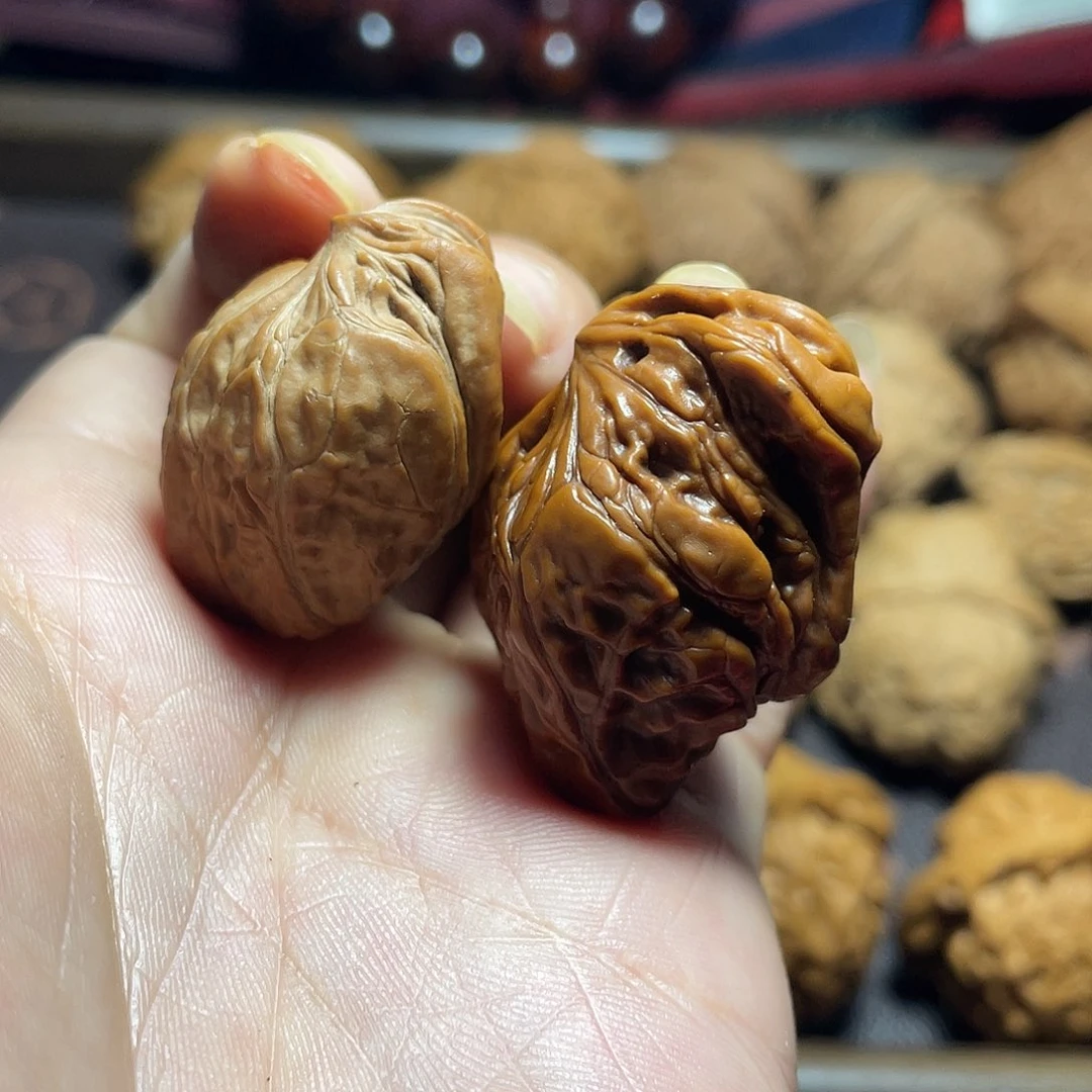 核桃手串/手链精品楼子鸟