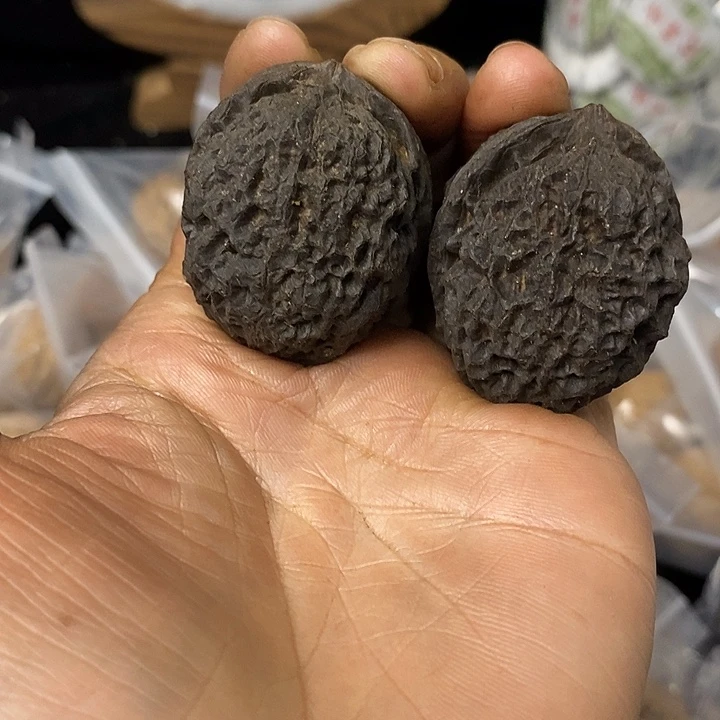 核桃云南铁核桃基地124