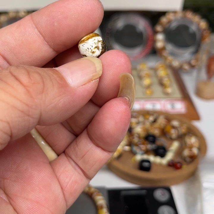 裸石琥珀未镶嵌50号