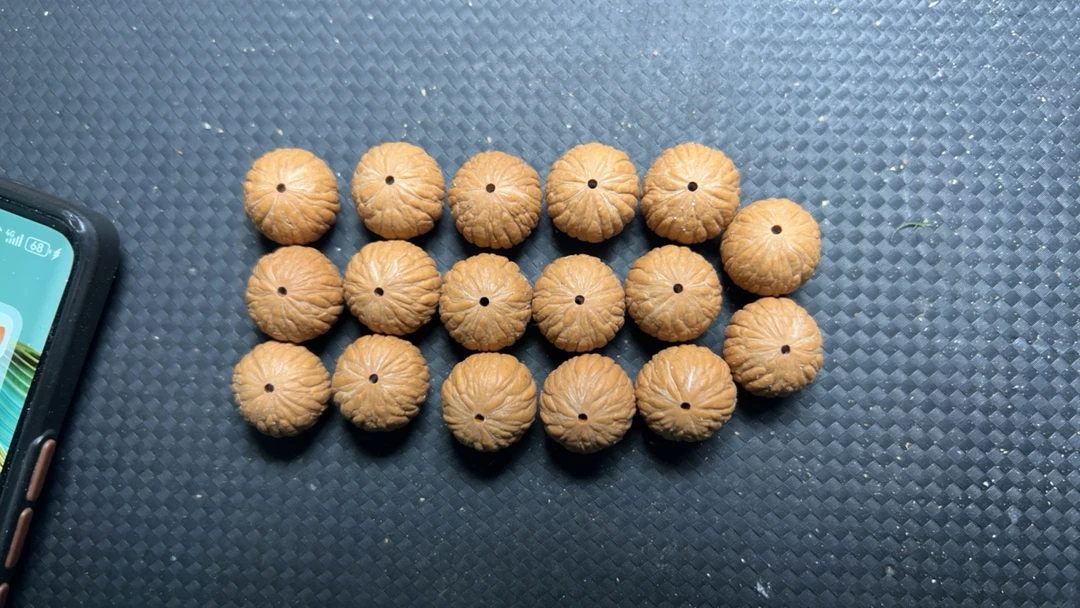 猴头土豪15+16+17+散籽60颗送线原皮原色无修无泡药