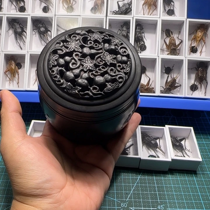 油葫芦叫罐葫芦一个