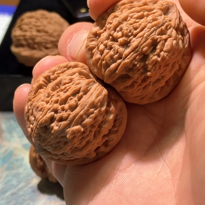 把件文玩核桃38蛟龙，货头