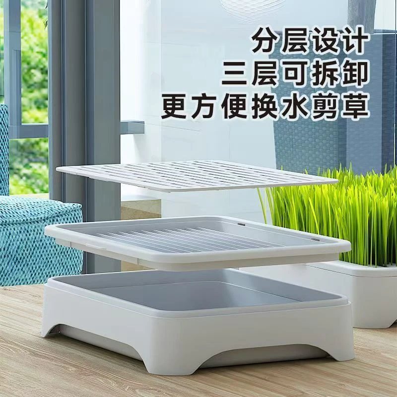 即食猫咪零食盒子懒人毛球无土自种可食用宠物用品网红