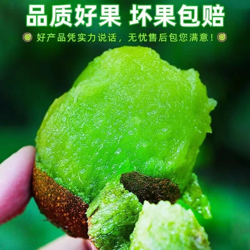 陕西眉县翠香猕猴桃新鲜现摘绿心奇异果当季香甜水果