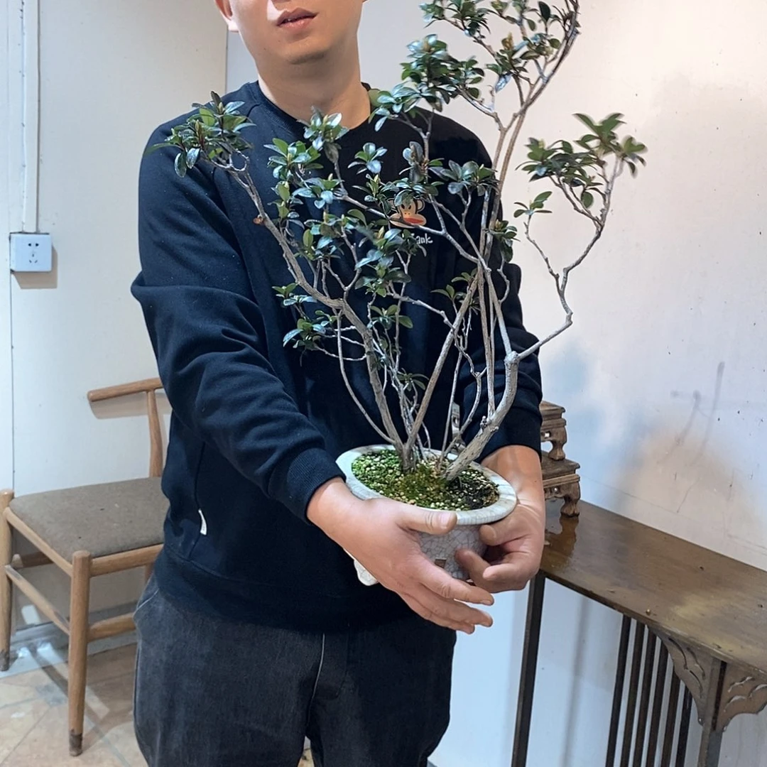 春花888888@***心8888888