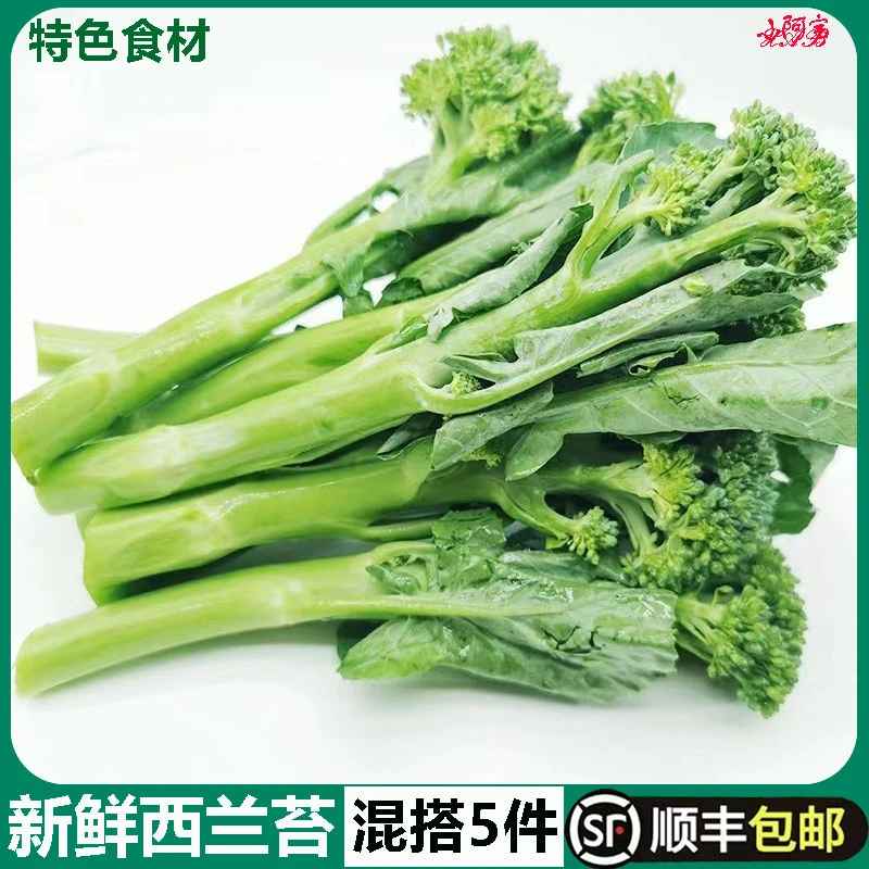 新鲜西兰苔500g 手指西兰花 蔬菜兰花苔青花苔青花菜西餐酒店食材