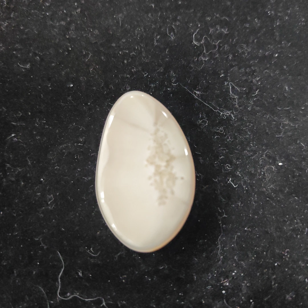 猛犸猛犸虬饼子WT651