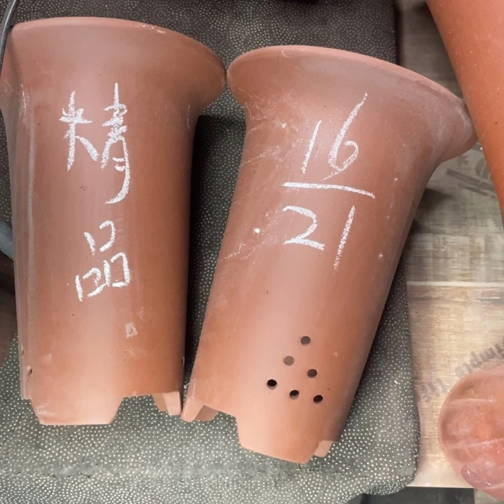 小动作实在是早早早早早早